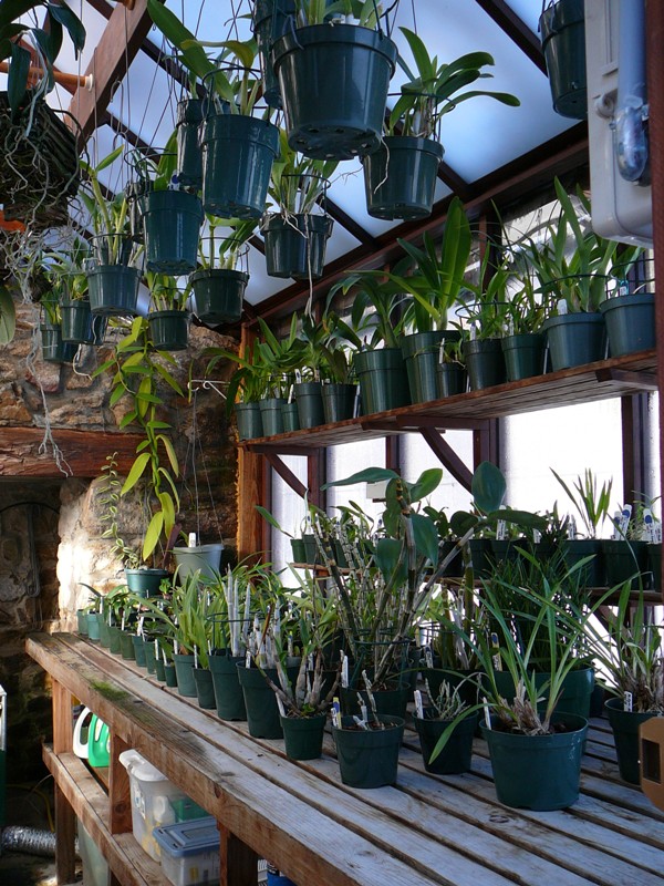 Interior of the historic cook house greenhouse
