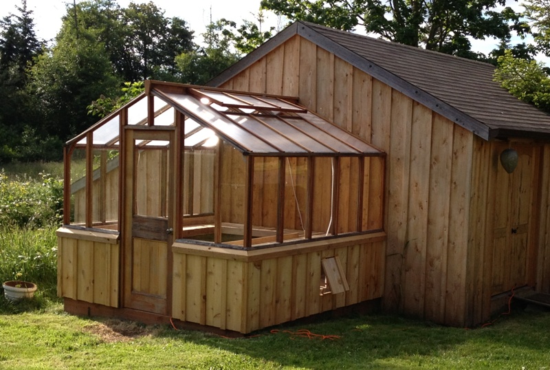 Redwood greenhouse attached to a shed