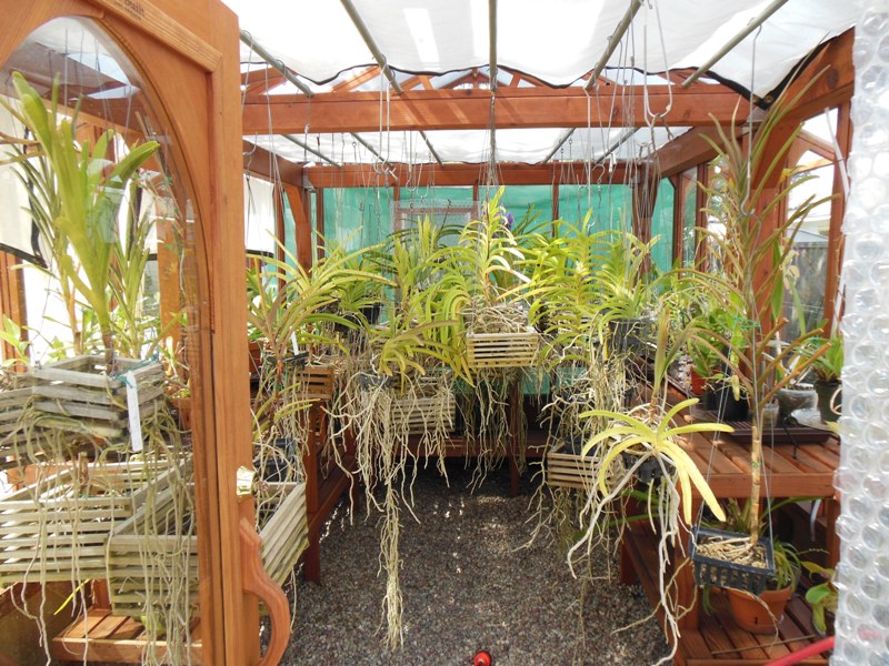 Interior of glass greenhouse with orchids