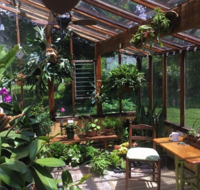 Interior of 10x18 Lean-to greenhouse with  two 2x8 redwood beams used as a patio space
