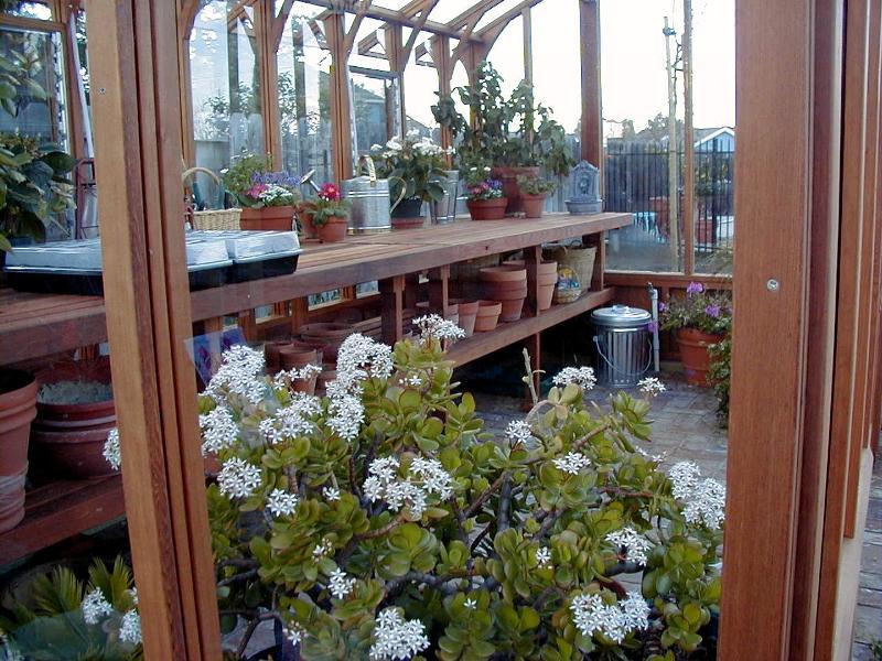 Double tier wood greenhouse benches