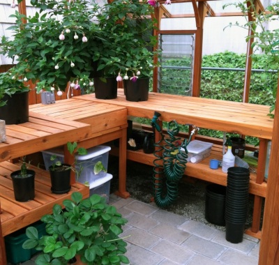 Greenhouse interior with double tier benches