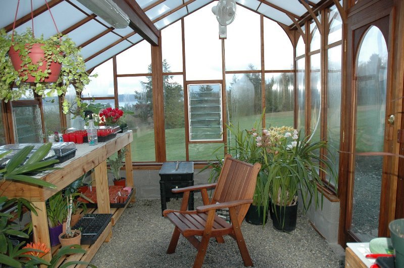 Greenhouse interior showing roof beams and twin wall roof
