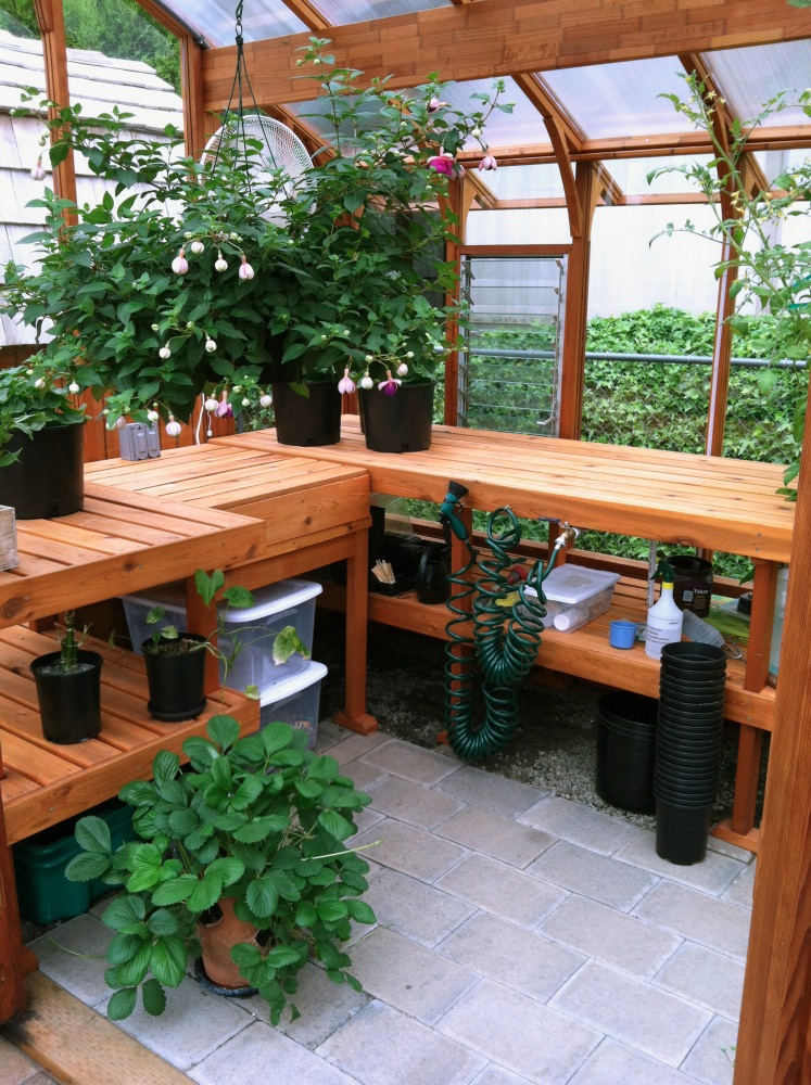 Greenhouse interior with double tier benches
