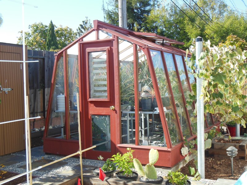 Solite 8x 11 freestanding greenhouse used for growing pineapples in California