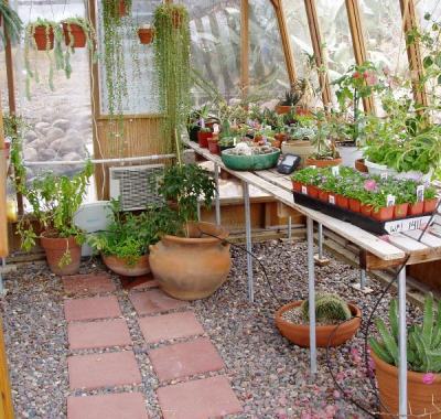Interior of 11x14 Solite greenhouse in desert with jalousie window in the door
