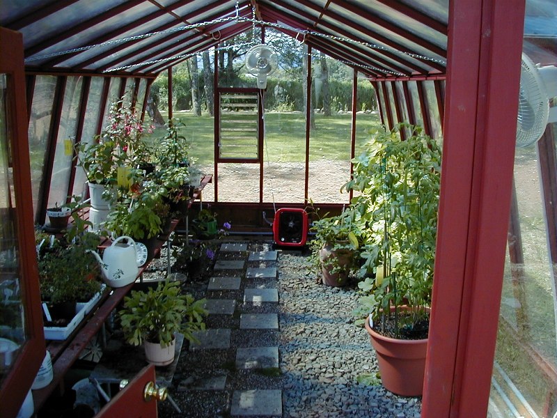 garden greenhouse interior