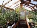 Interior of Solite 8x 11 freestanding greenhouse used for growing pineapples in California