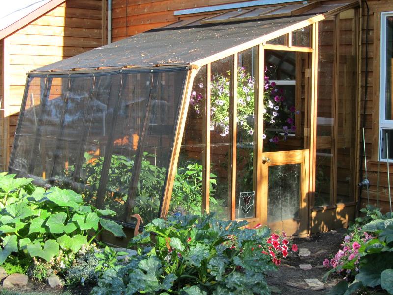 9 1/2' x 11' Solite Lean-to greenhouse with Dutch door