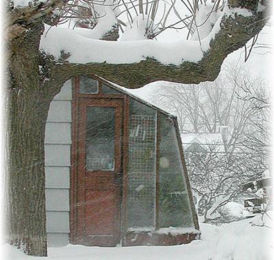 5 1/2' wide Solite Lean-to greenhouse in snow