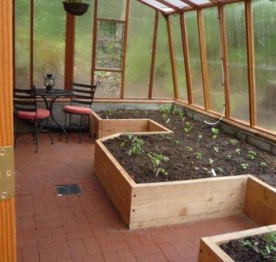 Greenhouse interior with raised beds