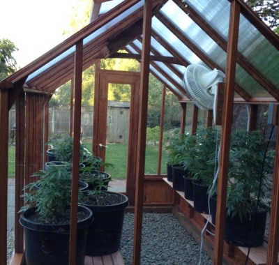Interior of small greenhouse in Portland, OR