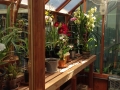 Trillium Greenhouse with orchids