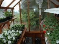 7 x 9 Trillium greenhouse interior