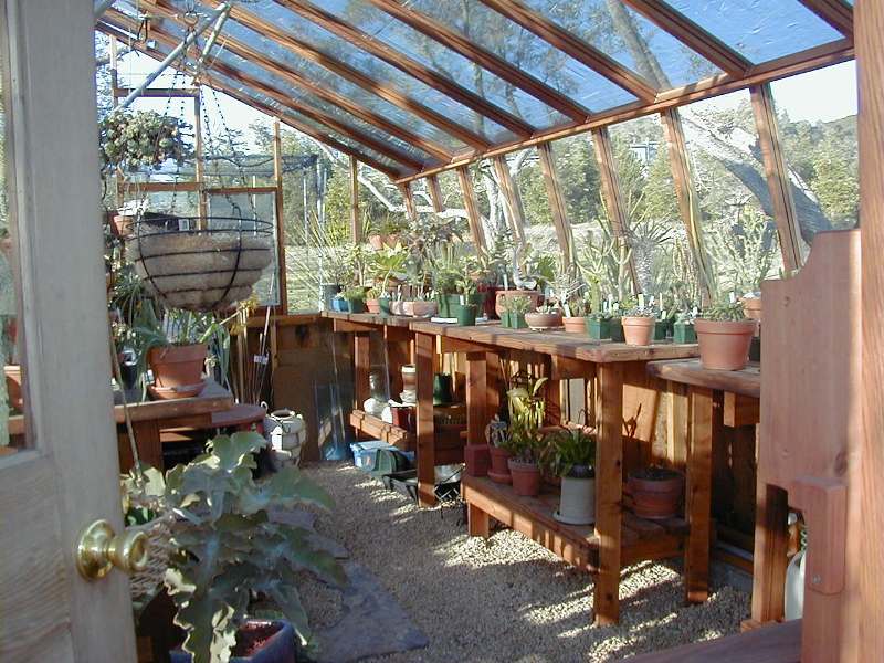 Interior of 16x18 tropic redwood greenhouse