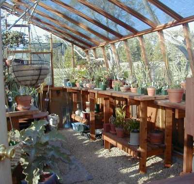 Interior of 16x18 tropic redwood greenhouse