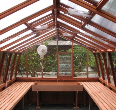 Classic redwood greenhouse interior