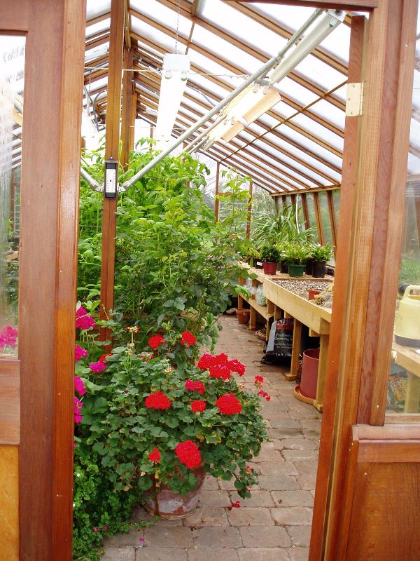 Interior of large home greenhouse