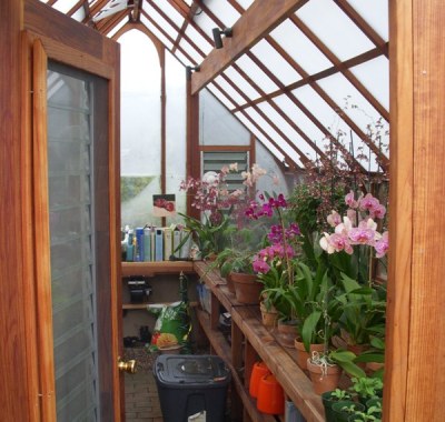 Tudor greenhouse interior