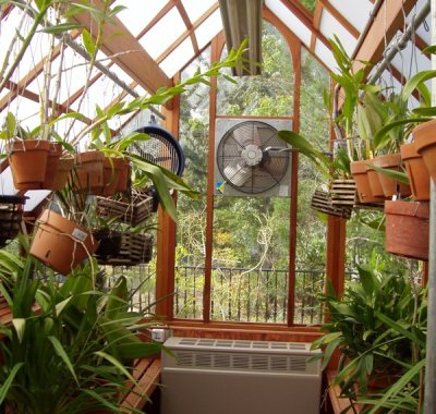 Interior of orchid garden greenhouse