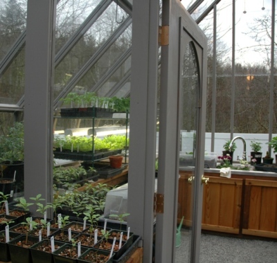 Greenhouse interior with partition wall