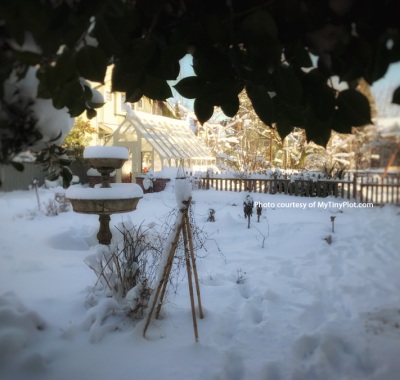 10 x 16 Tudor greenhouse in snowy Portland, Oregon