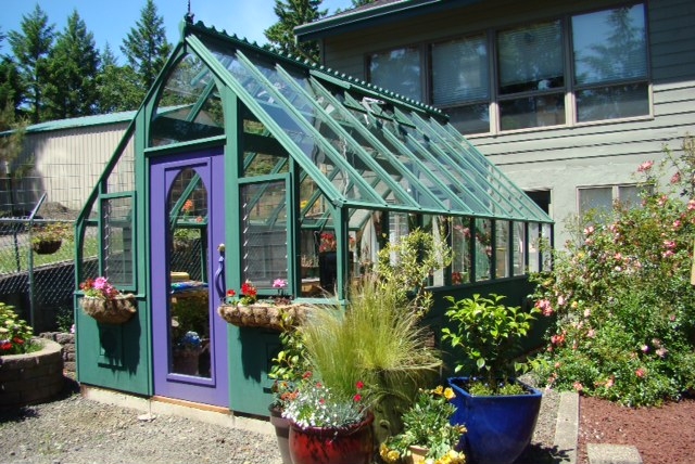 Brightly painted wood greenhouse