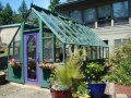 Brightly painted wood greenhouse