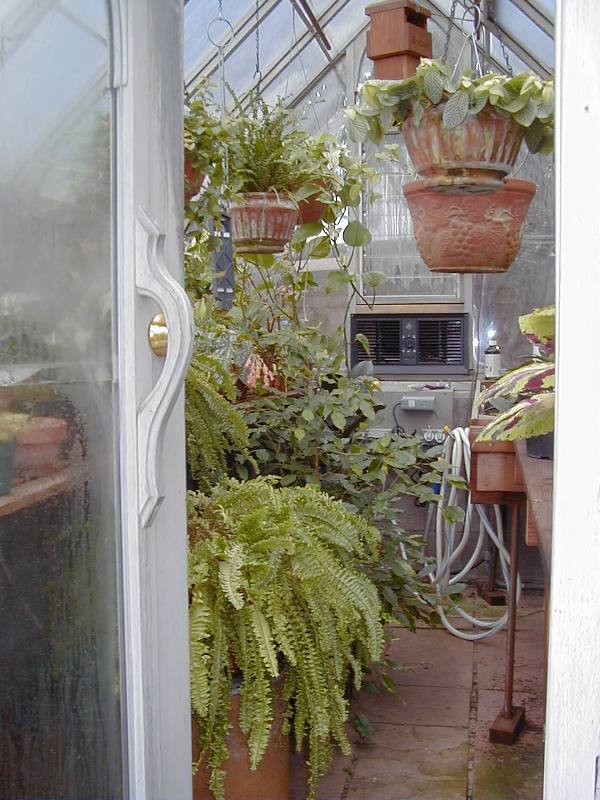 Garden greenhouse interior