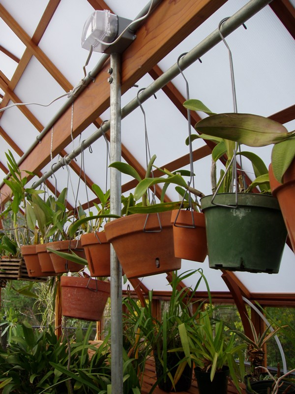 Interior of orchid greenhouse