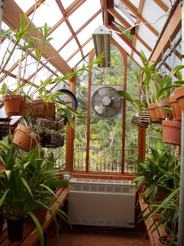 Interior of orchid garden greenhouse