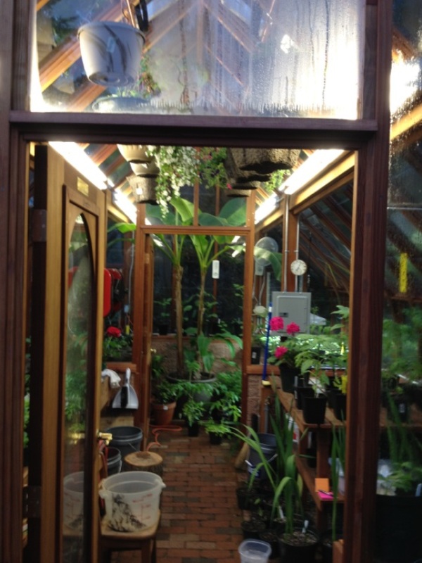 Greenhouse with interior partition wall