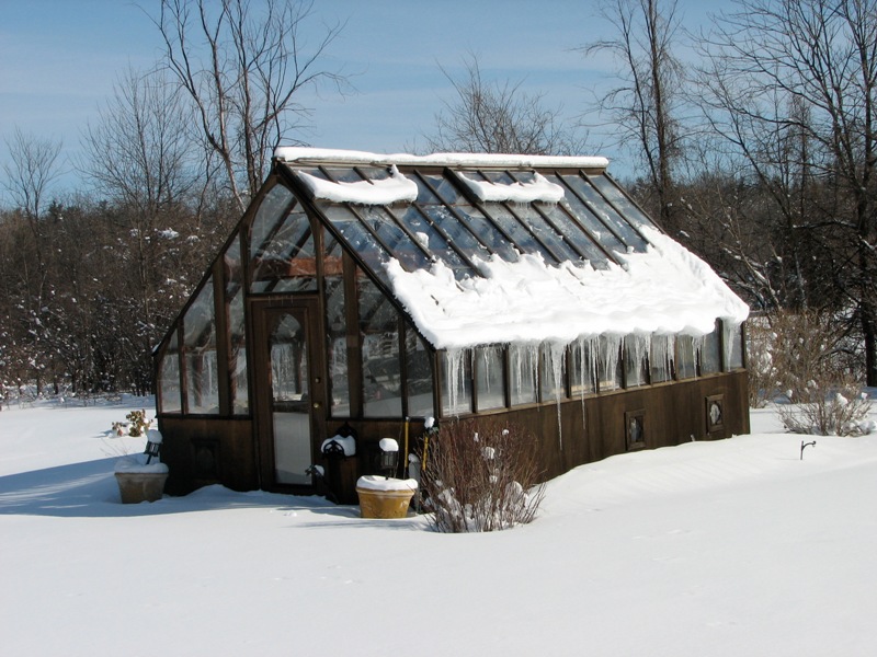 Home greenhouse in snow