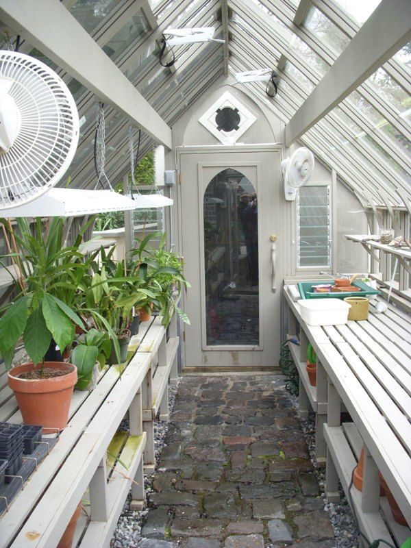 Interior of redwood greenhouse stained gray