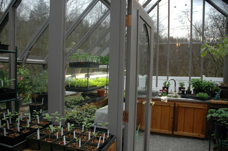 Greenhouse interior with partition wall