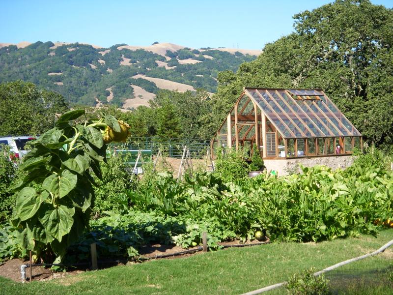 Tudor greenhouse in Beautiful Napa Valley
