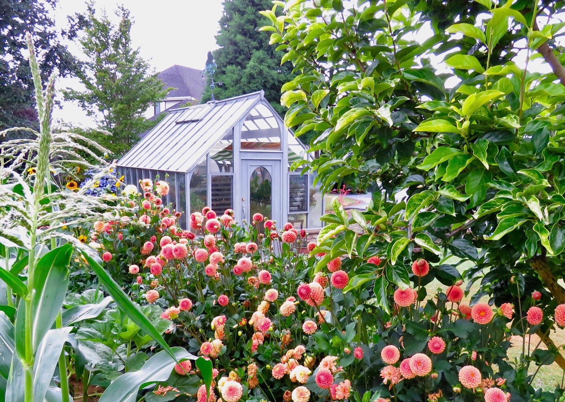 Tudor Greenhouse