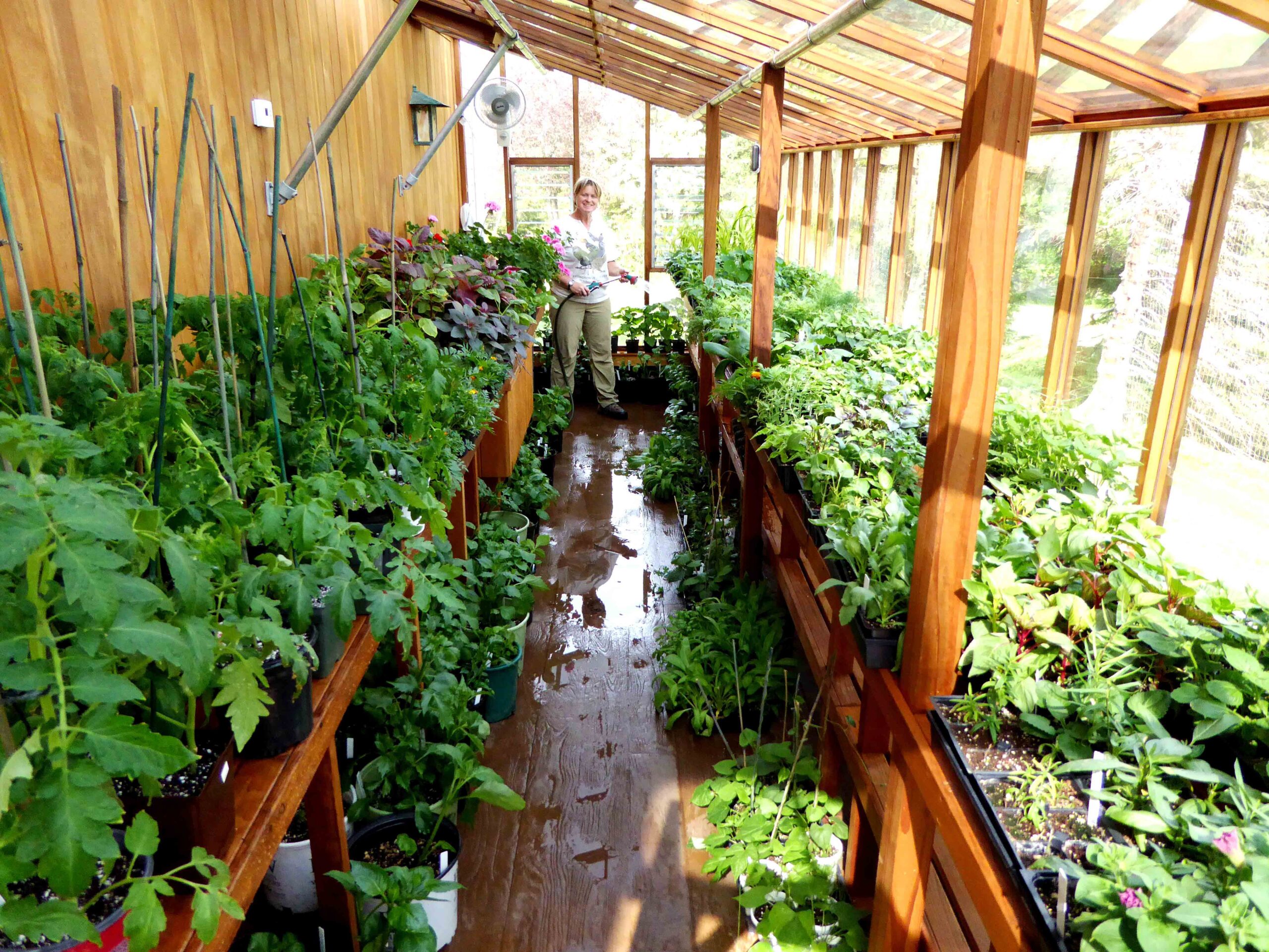 Feeding a Family with a Greenhouse