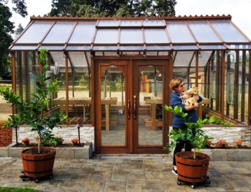 5 Tips for Preventing Pests and Diseases in Your Greenhouse