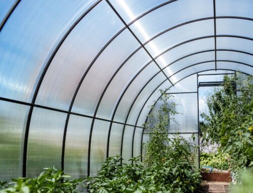How To Protect Your Greenhouse From Extreme Weather