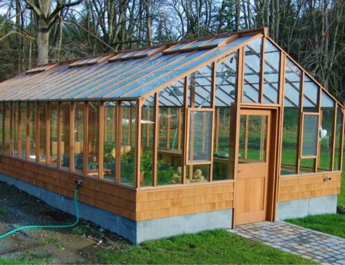 How To Prepare Your Backyard for a Deluxe Greenhouse