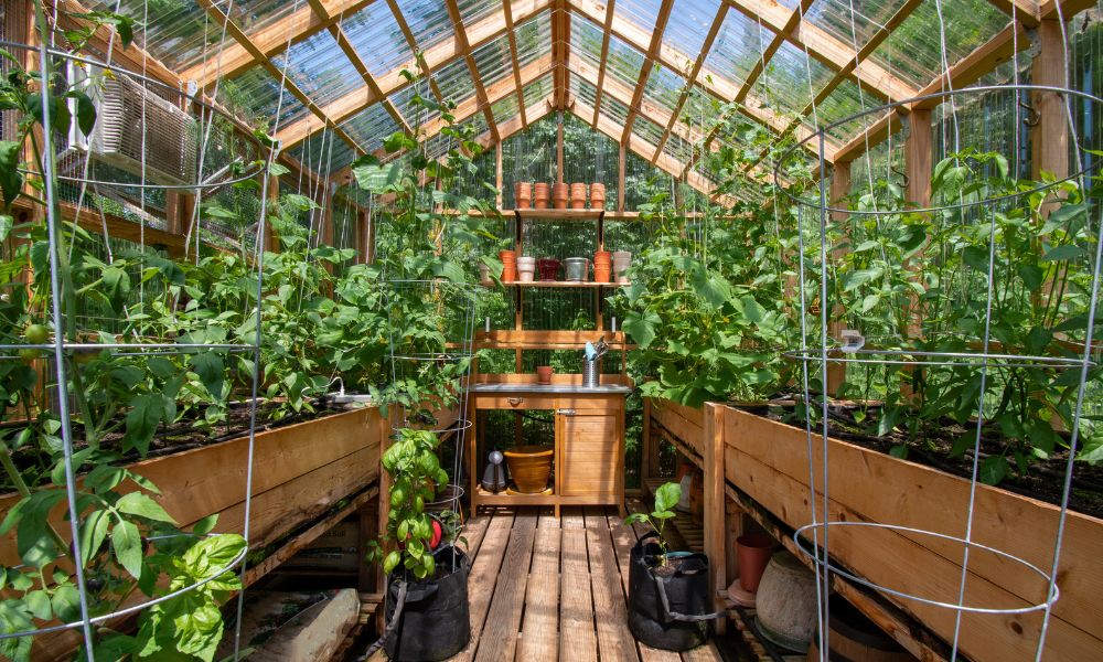 5 greenhouse accessories for your greenhouse