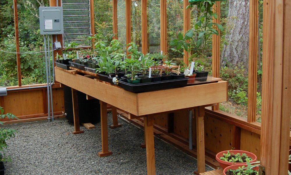 5 Tips for Maximizing the Growing Space in Your Greenhouse