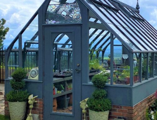 What You Should Know Before Adding a Greenhouse to Your Yard