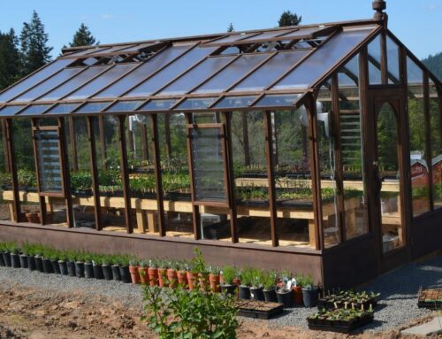 Benefits of Having a Deluxe Walk-In Greenhouse