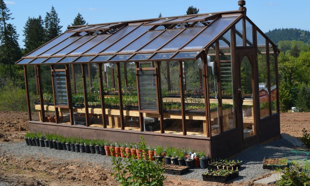 Benefits of Having a Deluxe Walk-In Greenhouse