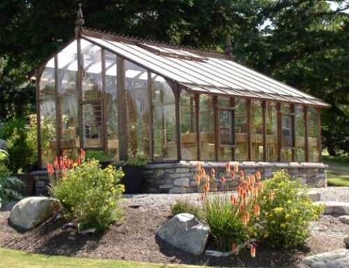 Beginner’s Guide for a Greenhouse