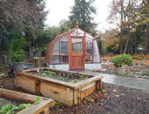 Greenhouse Gardening with Raised Beds