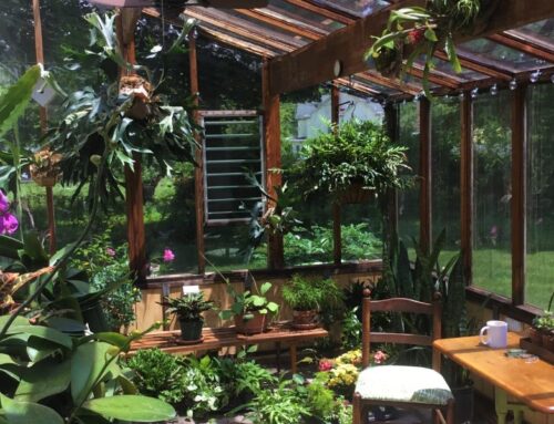 Home Addition vs. Sunroom: Which Is Right for You?