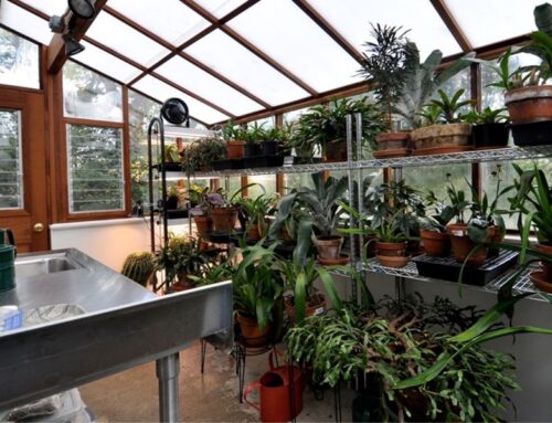 Top 14 Greenhouse Gardening Mistakes To Avoid